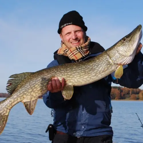 GÄDDFISKE